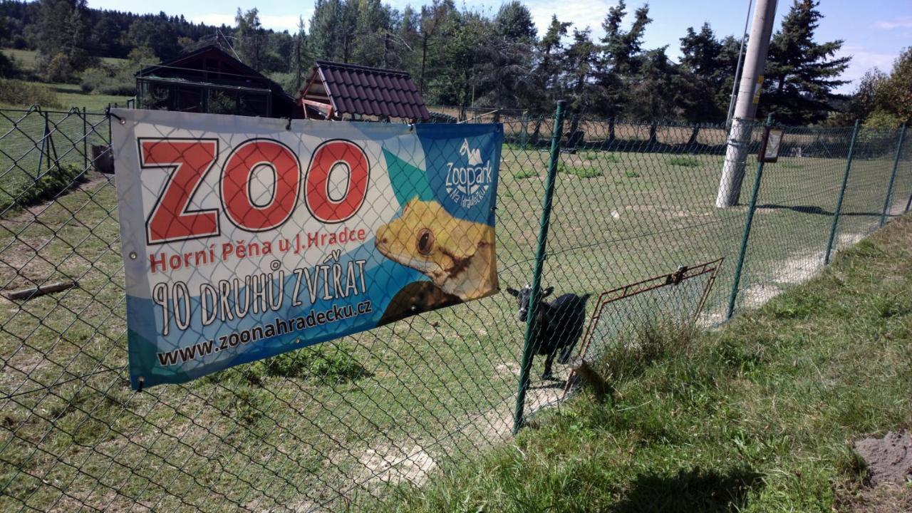 Penzion Lada Nová Bystřice Exterior foto